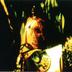 Garden of Chromatic Disturbance