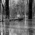 Disquieting Nature